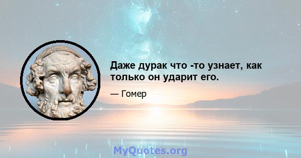 Даже дурак что -то узнает, как только он ударит его.