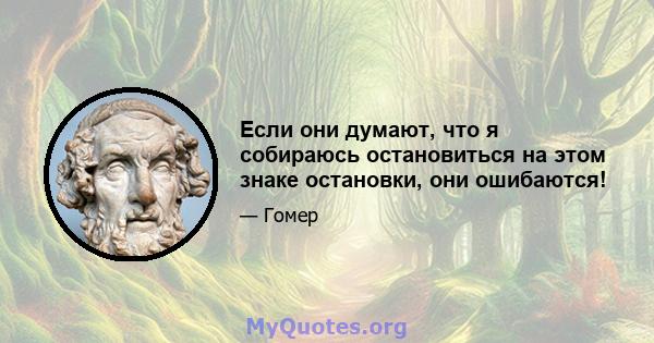 Если они думают, что я собираюсь остановиться на этом знаке остановки, они ошибаются!