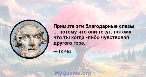 Примите эти благодарные слезы ... потому что они текут, потому что ты когда -либо чувствовал другого горе.