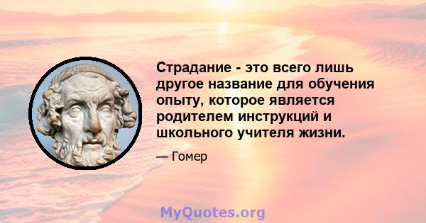 Страдание - это всего лишь другое название для обучения опыту, которое является родителем инструкций и школьного учителя жизни.