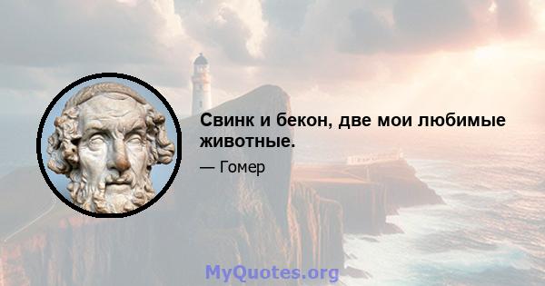 Свинк и бекон, две мои любимые животные.