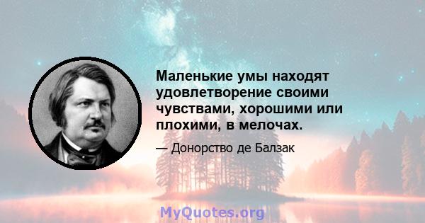 Маленькие умы находят удовлетворение своими чувствами, хорошими или плохими, в мелочах.