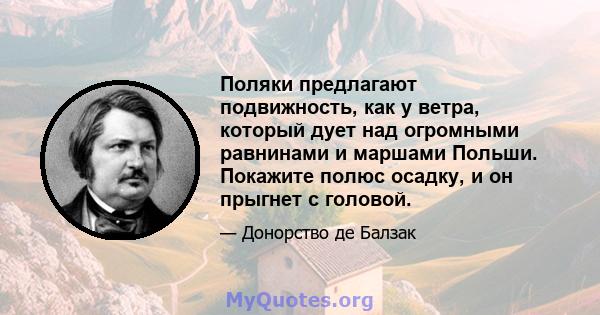 Поляки предлагают подвижность, как у ветра, который дует над огромными равнинами и маршами Польши. Покажите полюс осадку, и он прыгнет с головой.