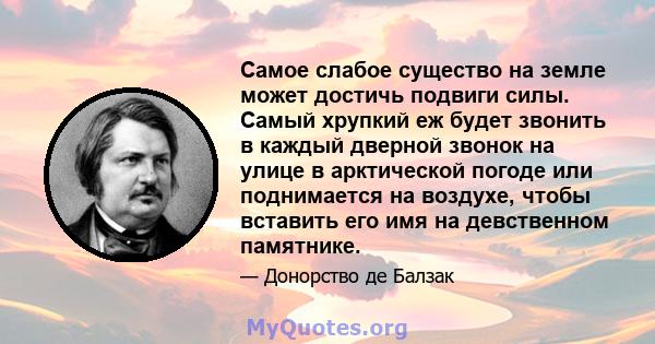 Самое слабое существо на земле может достичь подвиги силы. Самый хрупкий еж будет звонить в каждый дверной звонок на улице в арктической погоде или поднимается на воздухе, чтобы вставить его имя на девственном памятнике.