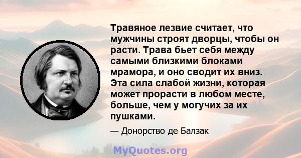 Травяное лезвие считает, что мужчины строят дворцы, чтобы он расти. Трава бьет себя между самыми близкими блоками мрамора, и оно сводит их вниз. Эта сила слабой жизни, которая может прорасти в любом месте, больше, чем у 