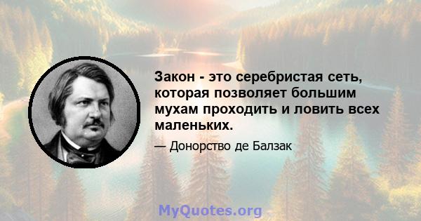 Закон - это серебристая сеть, которая позволяет большим мухам проходить и ловить всех маленьких.