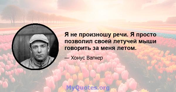 Я не произношу речи. Я просто позволил своей летучей мыши говорить за меня летом.