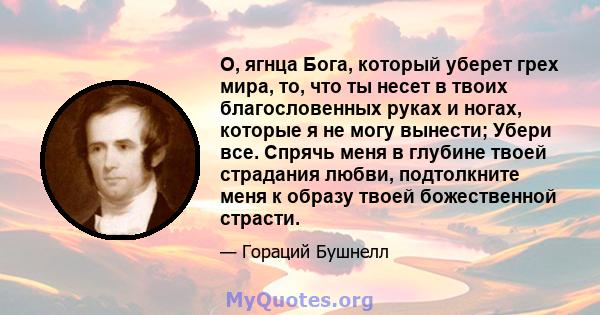 О, ягнца Бога, который уберет грех мира, то, что ты несет в твоих благословенных руках и ногах, которые я не могу вынести; Убери все. Спрячь меня в глубине твоей страдания любви, подтолкните меня к образу твоей