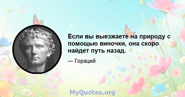 Если вы выезжаете на природу с помощью виночки, она скоро найдет путь назад.