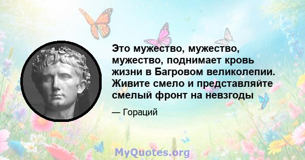 Это мужество, мужество, мужество, поднимает кровь жизни в Багровом великолепии. Живите смело и представляйте смелый фронт на невзгоды