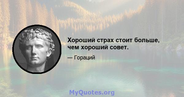 Хороший страх стоит больше, чем хороший совет.