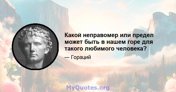 Какой неправомер или предел может быть в нашем горе для такого любимого человека?