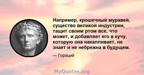 Например, крошечный муравей, существо великой индустрии, тащит своим ртом все, что может, и добавляет его в кучу, которую она накапливает, не знает и не небрежна в будущем.