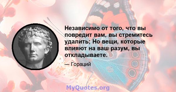 Независимо от того, что вы повредит вам, вы стремитесь удалить; Но вещи, которые влияют на ваш разум, вы откладываете.