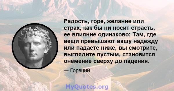 Радость, горе, желание или страх, как бы ни носит страсть, ее влияние одинаково; Там, где вещи превышают вашу надежду или падаете ниже, вы смотрите, выглядите пустым, становится онемение сверху до падения.