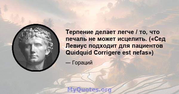 Терпение делает легче / то, что печаль не может исцелить. («Сед Левиус подходит для пациентов Quidquid Corrigere est nefas»)