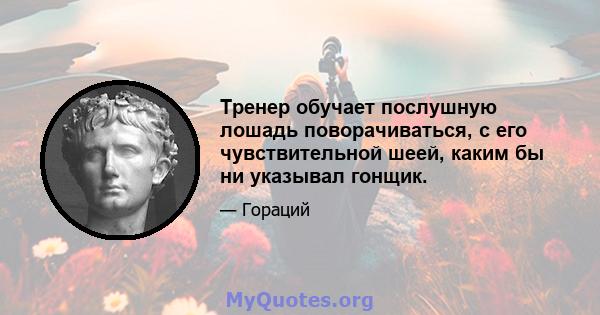 Тренер обучает послушную лошадь поворачиваться, с его чувствительной шеей, каким бы ни указывал гонщик.