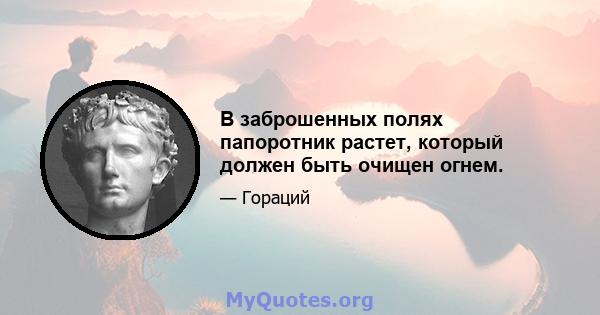 В заброшенных полях папоротник растет, который должен быть очищен огнем.