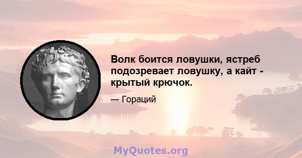 Волк боится ловушки, ястреб подозревает ловушку, а кайт - крытый крючок.