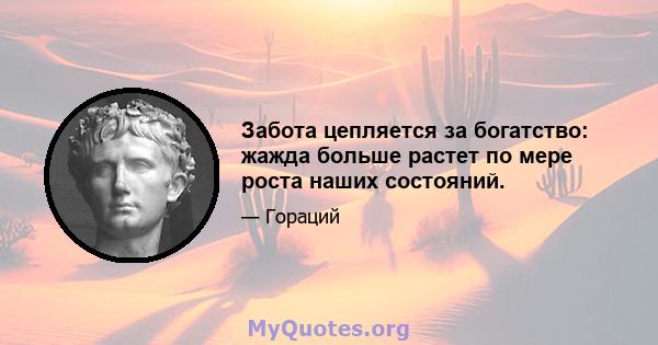 Забота цепляется за богатство: жажда больше растет по мере роста наших состояний.