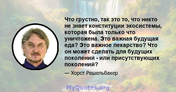 Что грустно, так это то, что никто не знает конституции экосистемы, которая была только что уничтожена. Это важная будущая еда? Это важное лекарство? Что он может сделать для будущих поколений - или присутствующих