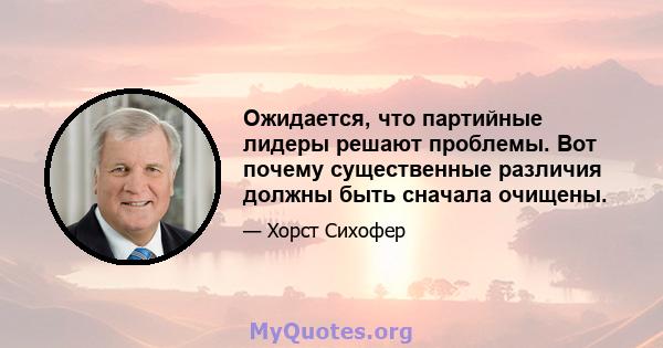 Ожидается, что партийные лидеры решают проблемы. Вот почему существенные различия должны быть сначала очищены.