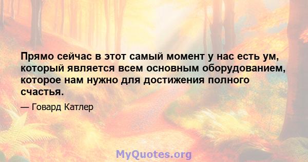 Прямо сейчас в этот самый момент у нас есть ум, который является всем основным оборудованием, которое нам нужно для достижения полного счастья.