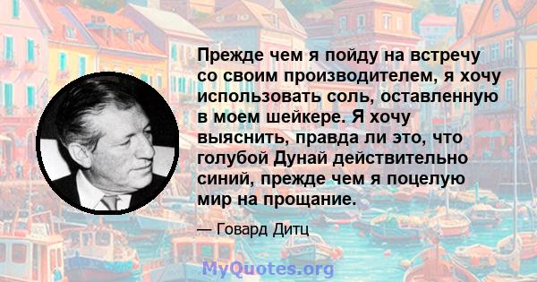 Прежде чем я пойду на встречу со своим производителем, я хочу использовать соль, оставленную в моем шейкере. Я хочу выяснить, правда ли это, что голубой Дунай действительно синий, прежде чем я поцелую мир на прощание.