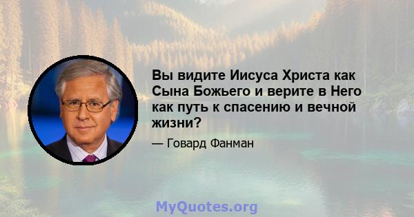 Вы видите Иисуса Христа как Сына Божьего и верите в Него как путь к спасению и вечной жизни?