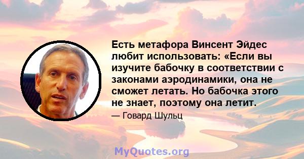 Есть метафора Винсент Эйдес любит использовать: «Если вы изучите бабочку в соответствии с законами аэродинамики, она не сможет летать. Но бабочка этого не знает, поэтому она летит.