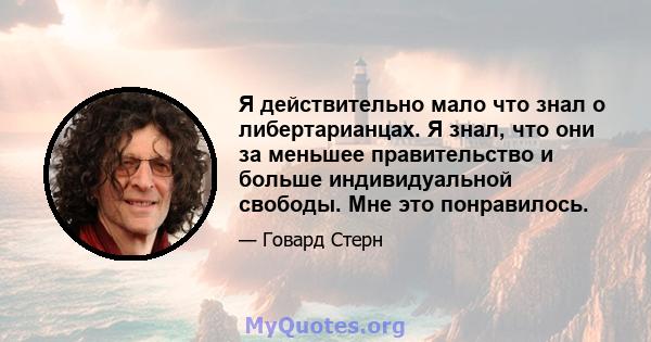 Я действительно мало что знал о либертарианцах. Я знал, что они за меньшее правительство и больше индивидуальной свободы. Мне это понравилось.