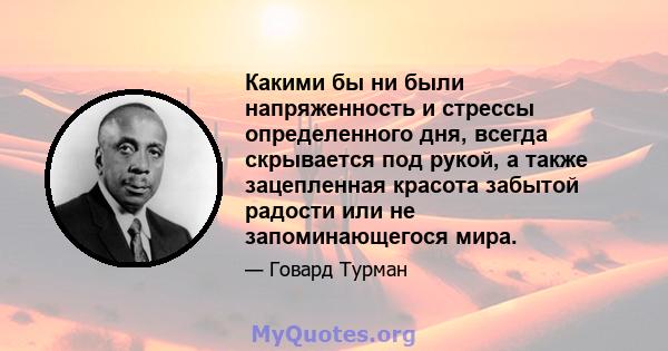 Какими бы ни были напряженность и стрессы определенного дня, всегда скрывается под рукой, а также зацепленная красота забытой радости или не запоминающегося мира.