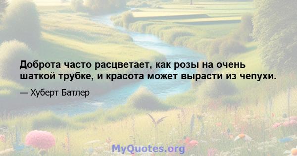 Доброта часто расцветает, как розы на очень шаткой трубке, и красота может вырасти из чепухи.