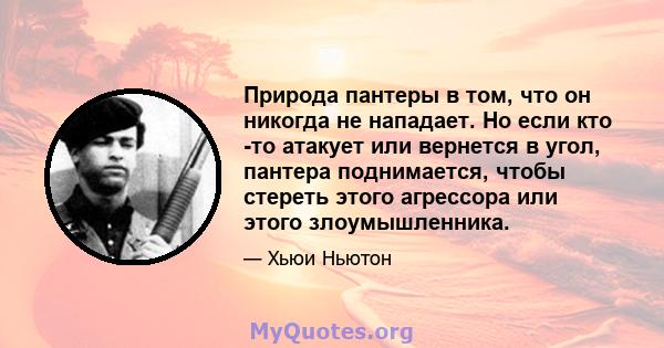 Природа пантеры в том, что он никогда не нападает. Но если кто -то атакует или вернется в угол, пантера поднимается, чтобы стереть этого агрессора или этого злоумышленника.