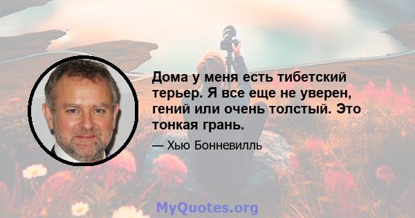 Дома у меня есть тибетский терьер. Я все еще не уверен, гений или очень толстый. Это тонкая грань.