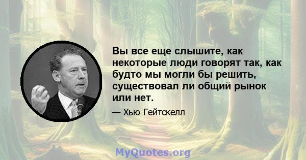 Вы все еще слышите, как некоторые люди говорят так, как будто мы могли бы решить, существовал ли общий рынок или нет.