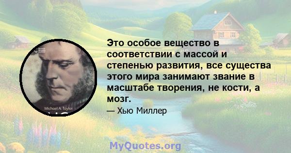 Это особое вещество в соответствии с массой и степенью развития, все существа этого мира занимают звание в масштабе творения, не кости, а мозг.