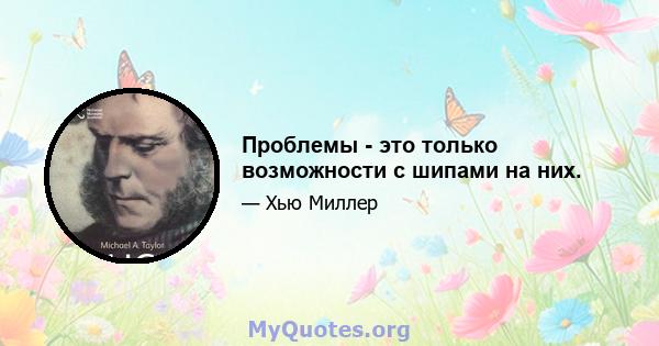 Проблемы - это только возможности с шипами на них.