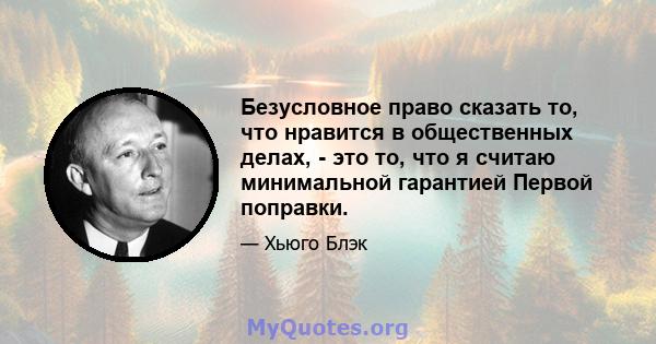 Безусловное право сказать то, что нравится в общественных делах, - это то, что я считаю минимальной гарантией Первой поправки.