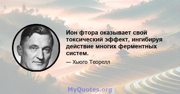 Ион фтора оказывает свой токсический эффект, ингибируя действие многих ферментных систем.