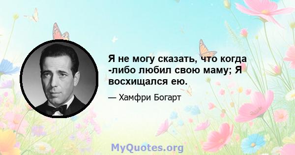 Я не могу сказать, что когда -либо любил свою маму; Я восхищался ею.