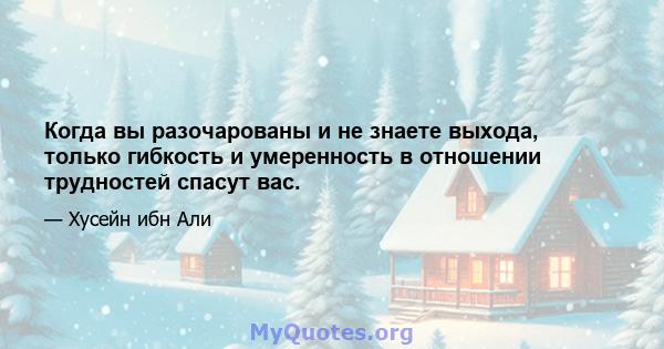 Когда вы разочарованы и не знаете выхода, только гибкость и умеренность в отношении трудностей спасут вас.