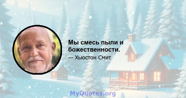 Мы смесь пыли и божественности.