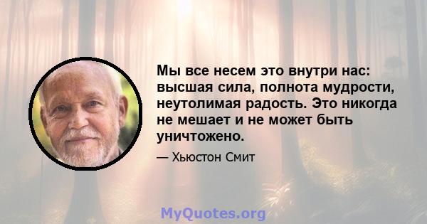 Мы все несем это внутри нас: высшая сила, полнота мудрости, неутолимая радость. Это никогда не мешает и не может быть уничтожено.