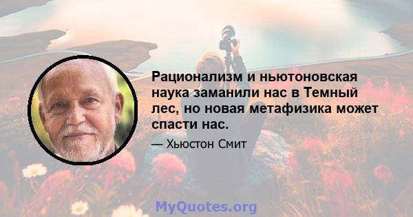 Рационализм и ньютоновская наука заманили нас в Темный лес, но новая метафизика может спасти нас.