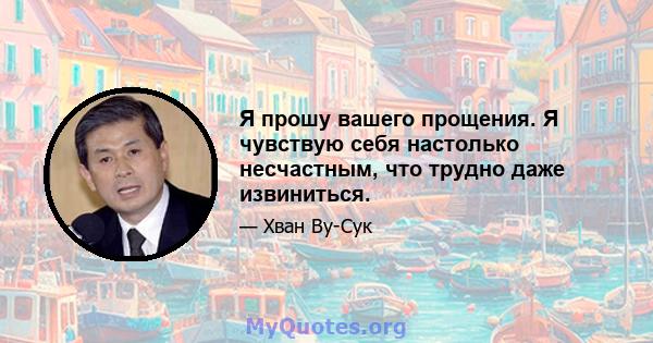 Я прошу вашего прощения. Я чувствую себя настолько несчастным, что трудно даже извиниться.