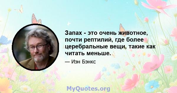 Запах - это очень животное, почти рептилий, где более церебральные вещи, такие как читать меньше.