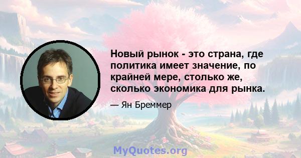 Новый рынок - это страна, где политика имеет значение, по крайней мере, столько же, сколько экономика для рынка.