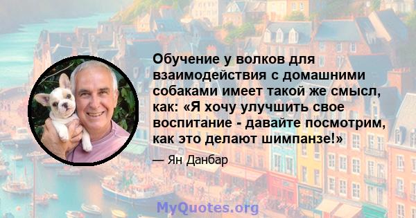 Обучение у волков для взаимодействия с домашними собаками имеет такой же смысл, как: «Я хочу улучшить свое воспитание - давайте посмотрим, как это делают шимпанзе!»