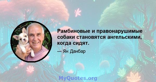 Рамбиновые и правонарушимые собаки становятся ангельскими, когда сидят.